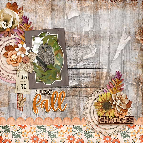 Shades Of Fall Changes