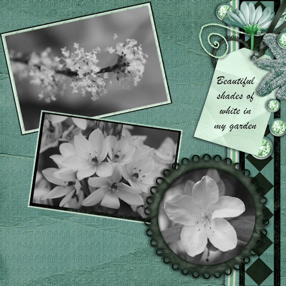 Shades of white