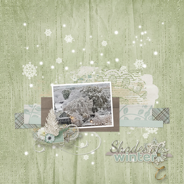 Shades of Winter