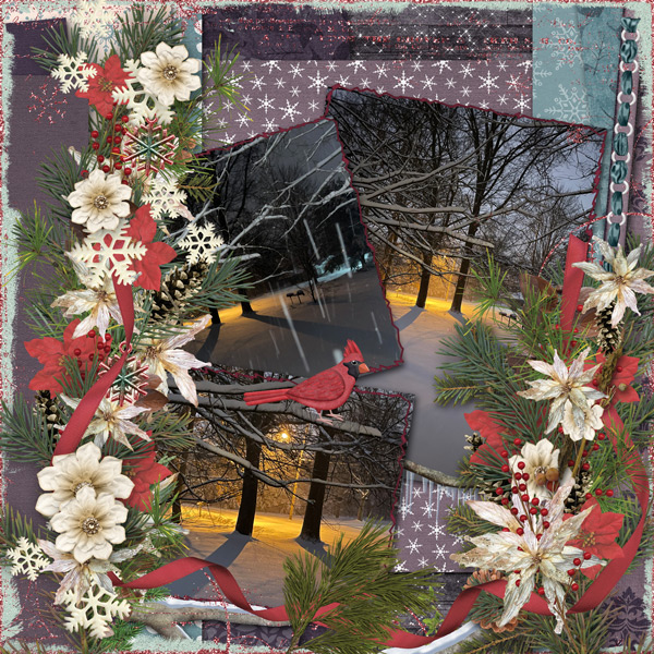 shades of winter