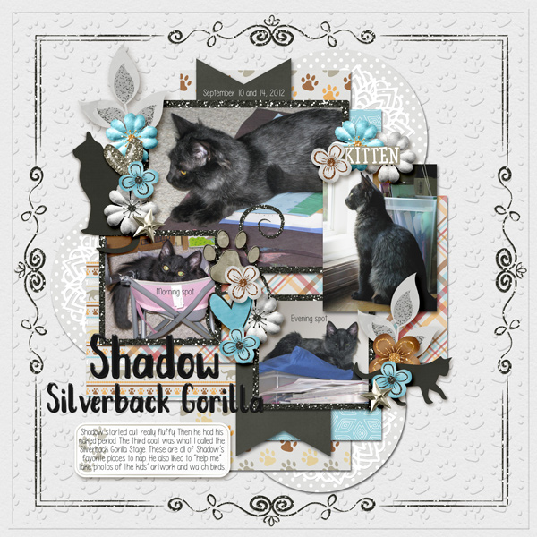 Shadow Silverback Gorilla