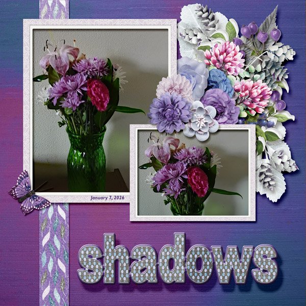 shadow small.jpg
