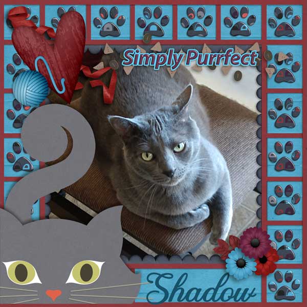 Shadow