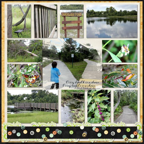 Shadowbay Park