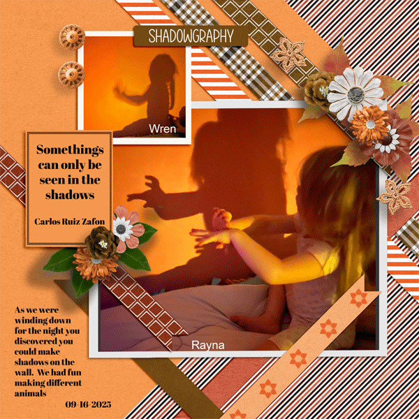 Shadowgraphy-R.gif