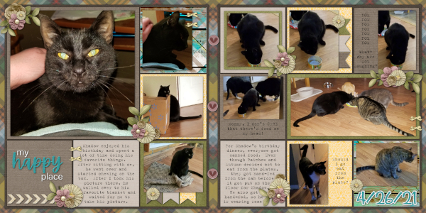 Shadow's 2nd Birthday