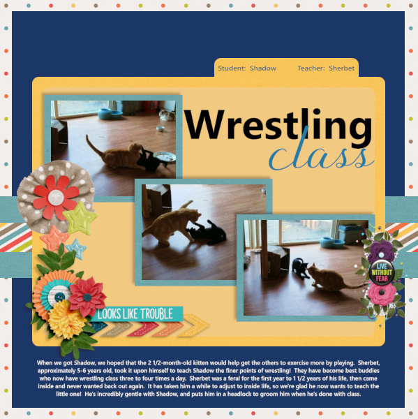 Shadow's Wrestling Class