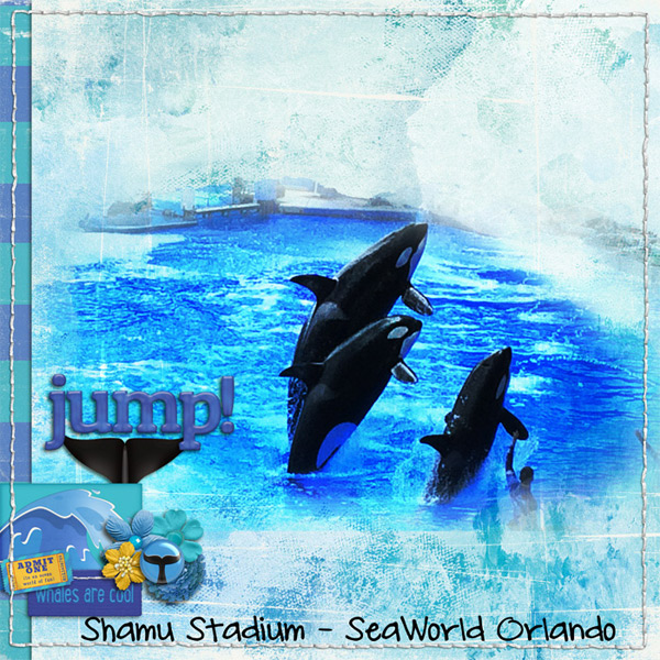 Shamu Stadium