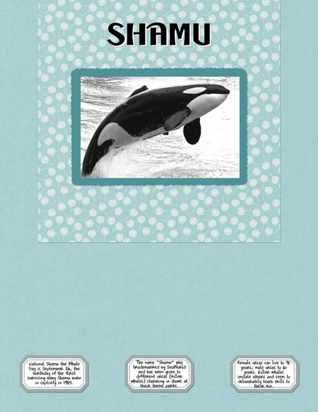 Shamu
