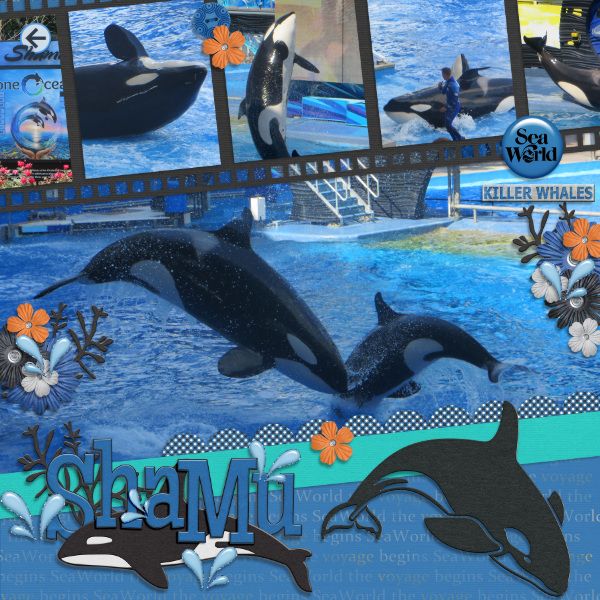 Shamu