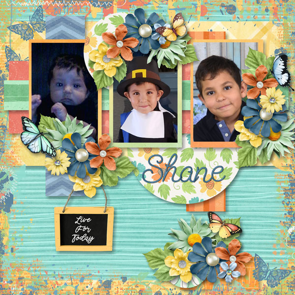 Shane