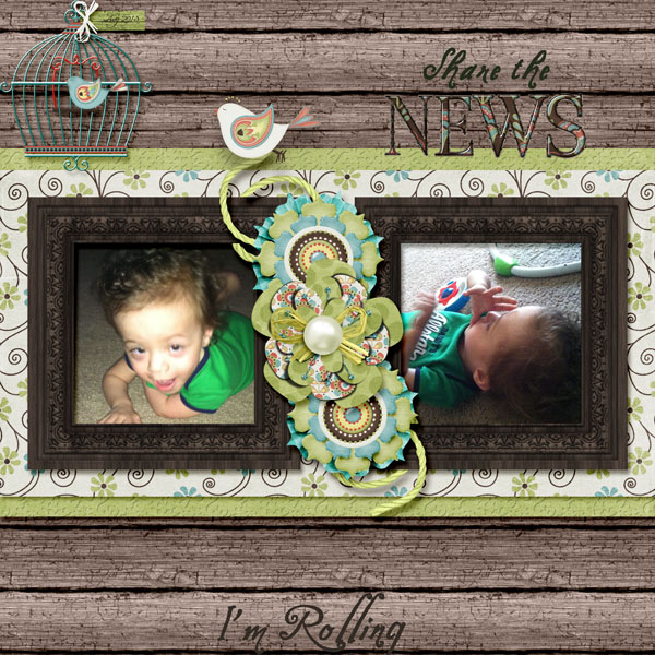 Share the News I am Rolling
