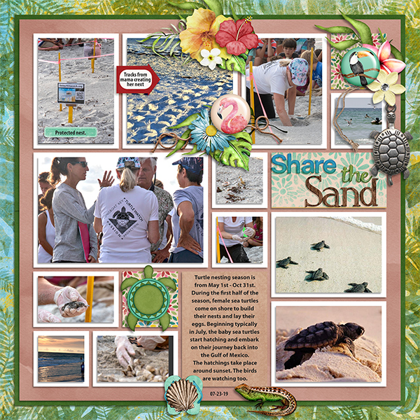 Share the Sand