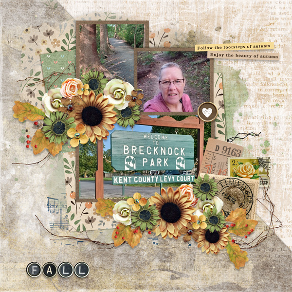Share Your Autumn-CarolW