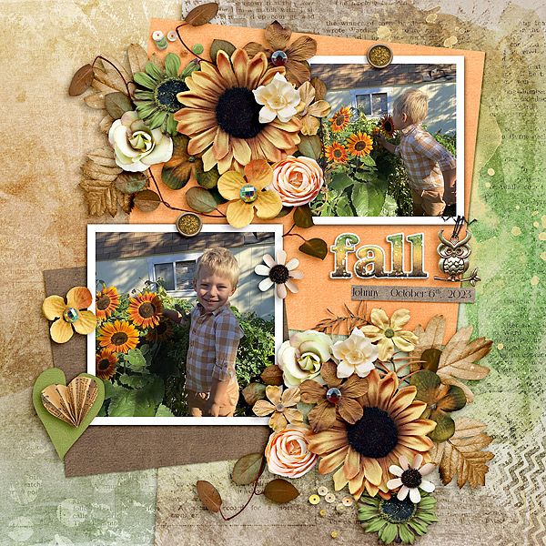 Share your Autumn