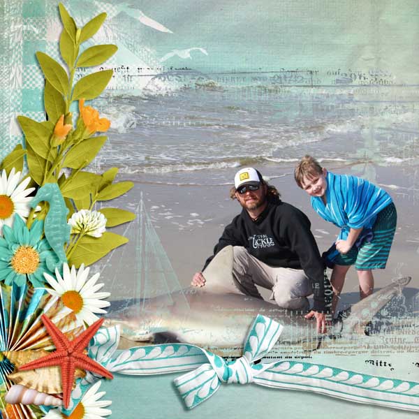 Shark Bait