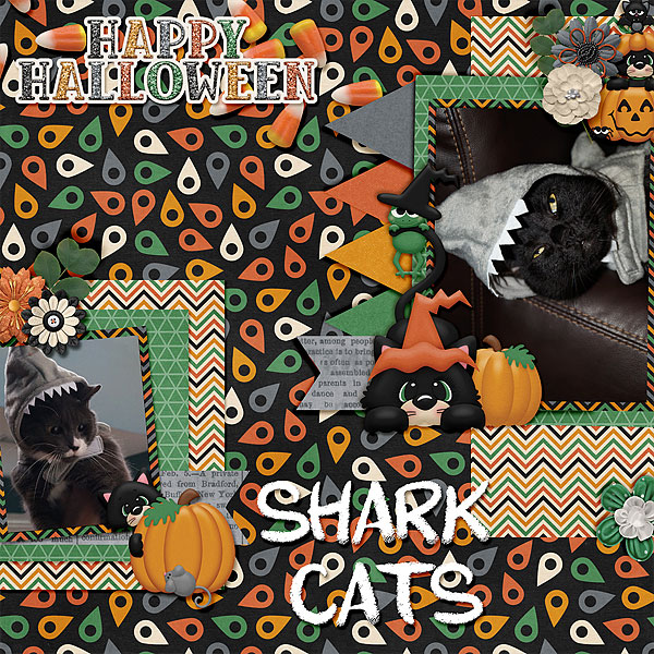 shark-cats