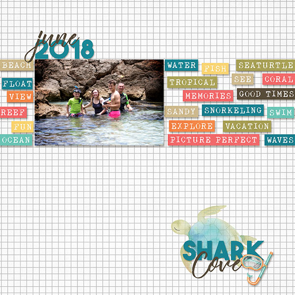 Shark Cove