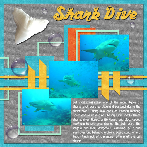 Shark Dive