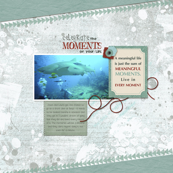 Shark Dive