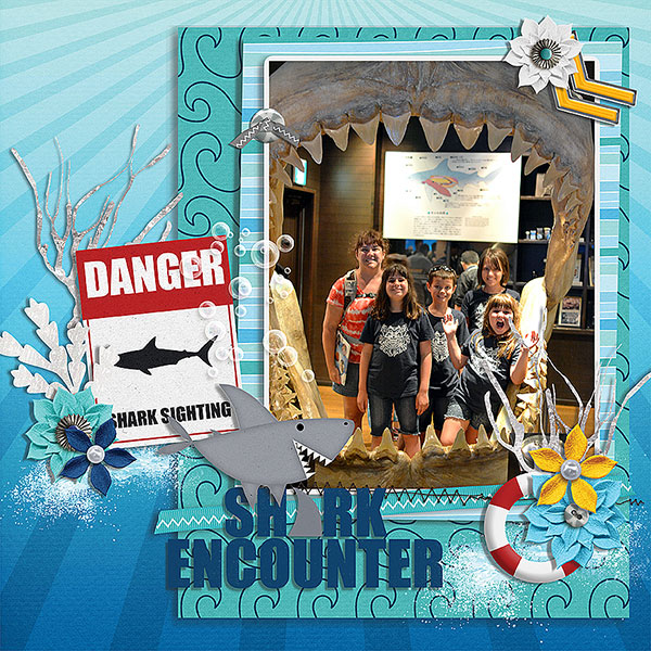 shark encounter
