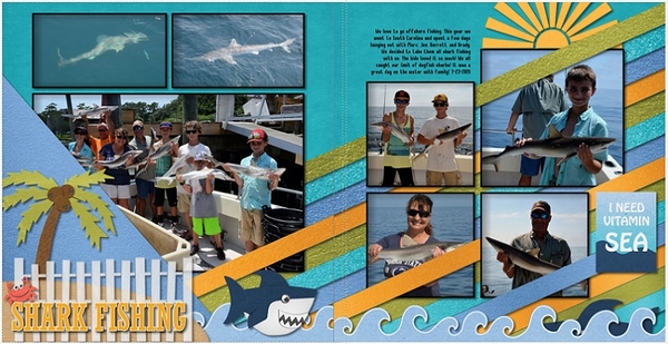 Shark Fishing