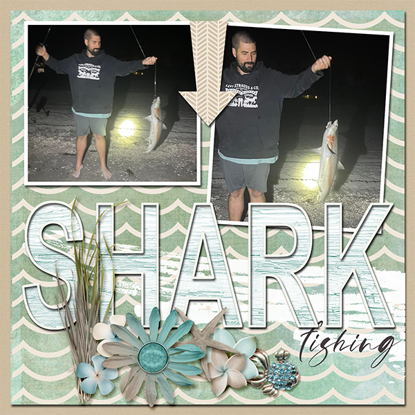 Shark Fishing