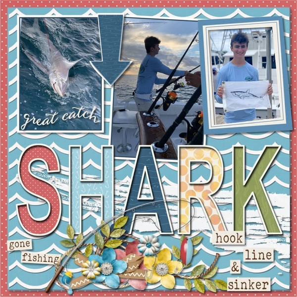 Shark Fishing