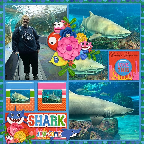 Shark Ripleys Aquarium