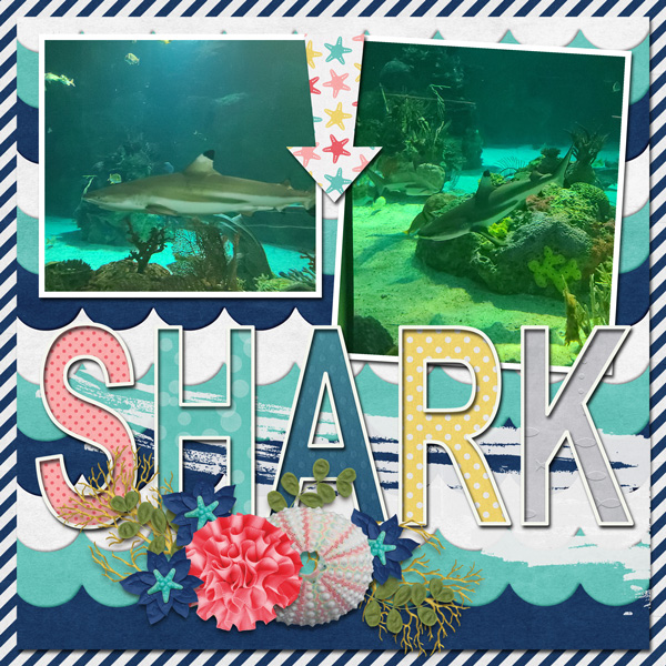 Shark: Sea World