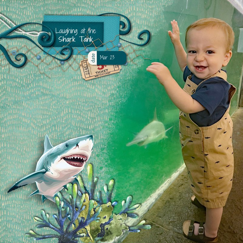 Shark Tank.jpg