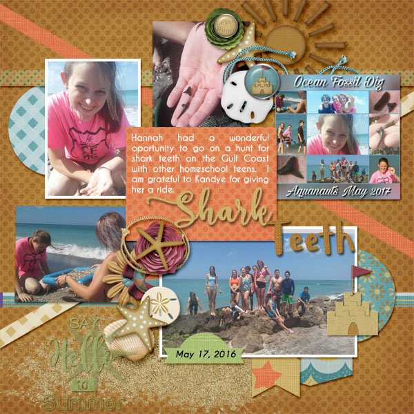 Shark Teeth