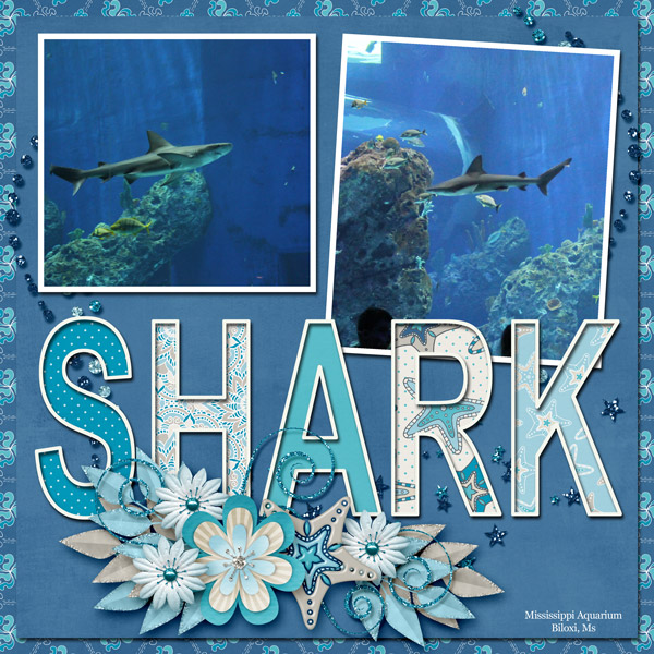 Shark Template Challenge