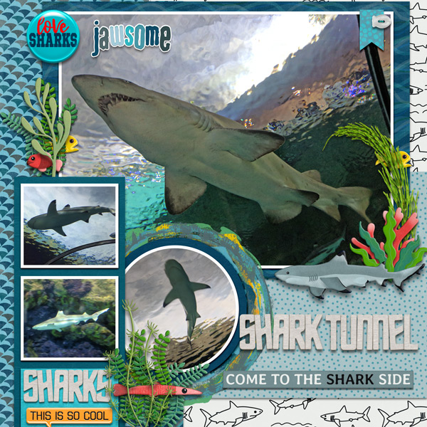 shark tunnel