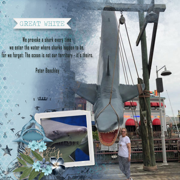 Shark Week