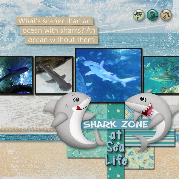 Shark Zone