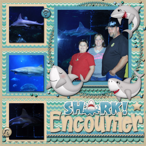 Shark Zone!!