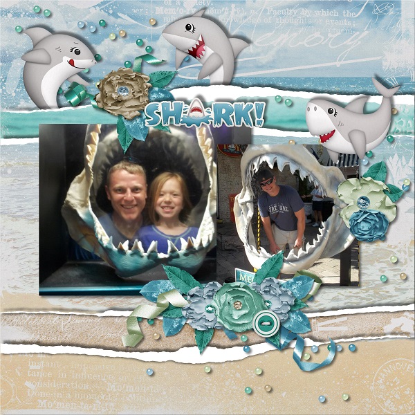 Shark Zone