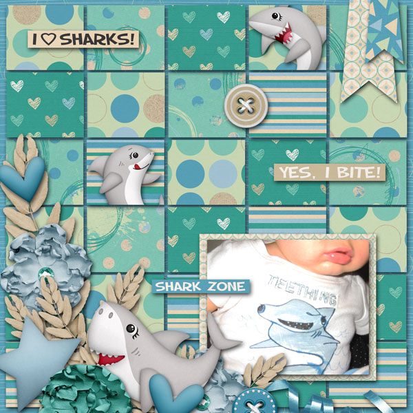 Shark Zone