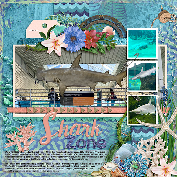 Shark Zone