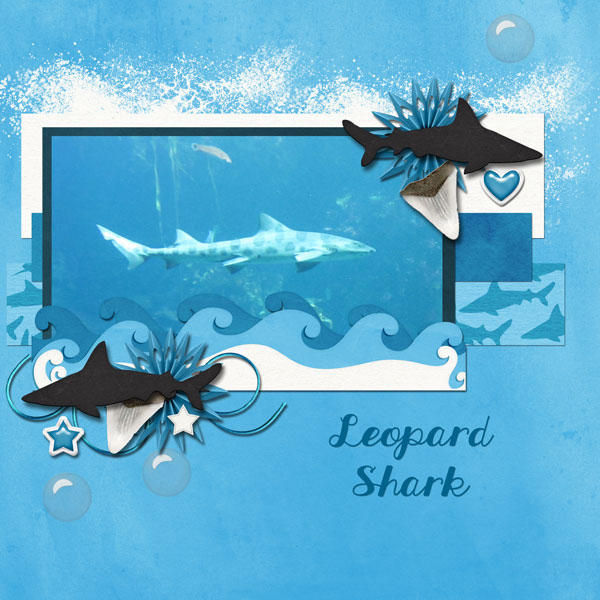 shark