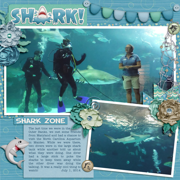 Shark!