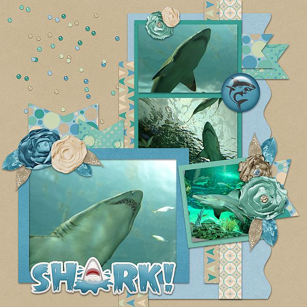 Shark