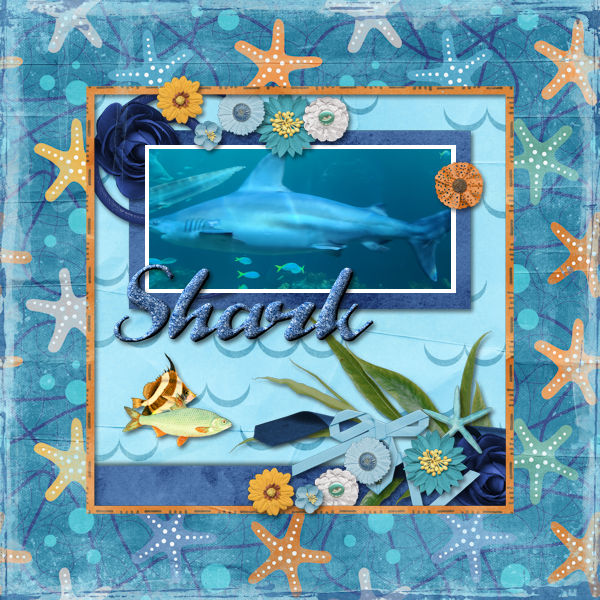 Shark
