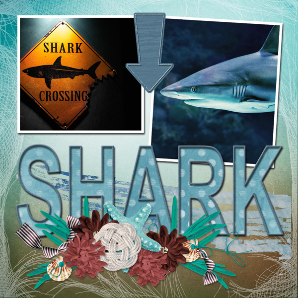 SHARK