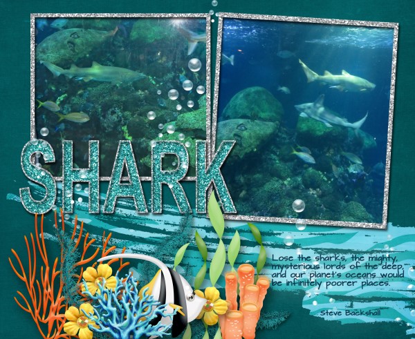 Shark