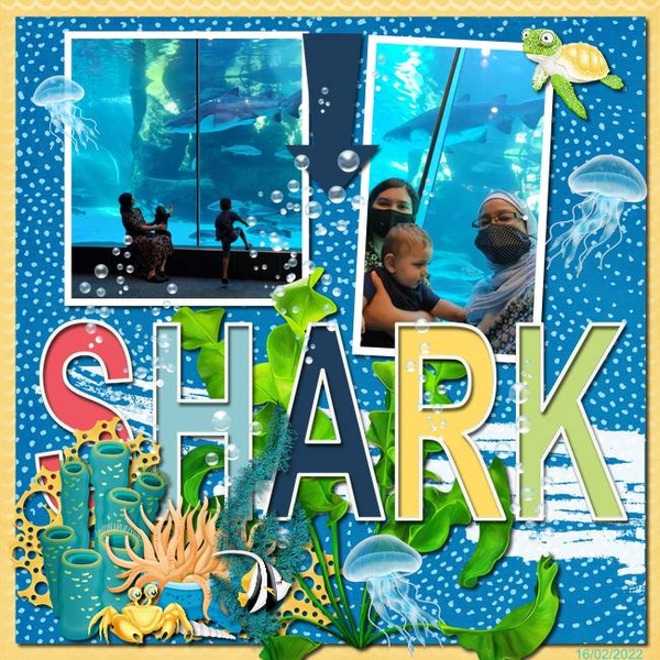 SHARK