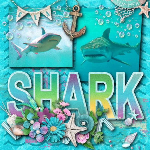 Shark