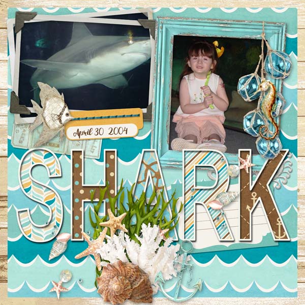 Shark