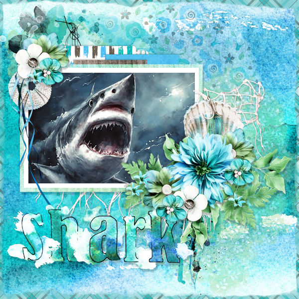 Shark